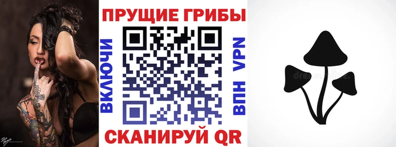Галлюциногенные грибы мицелий  где можно купить   Ахтубинск 